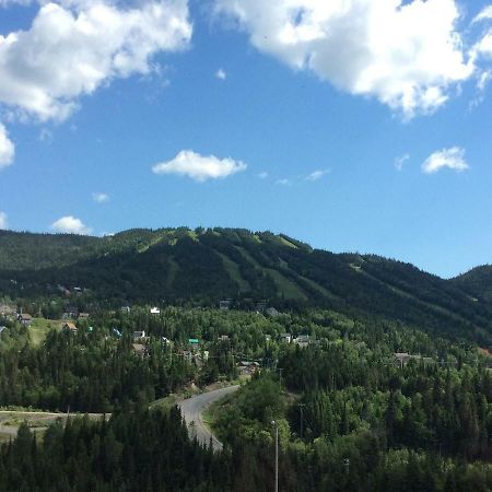 Saint-David-de-Falardeau Le Chalet Du Valiヴィラ エクステリア 写真