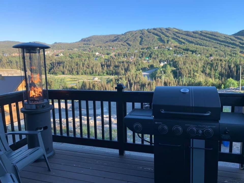 Saint-David-de-Falardeau Le Chalet Du Valiヴィラ エクステリア 写真