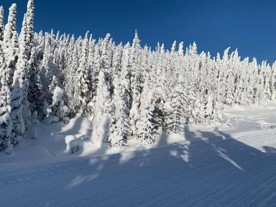 Saint-David-de-Falardeau Le Chalet Du Valiヴィラ エクステリア 写真