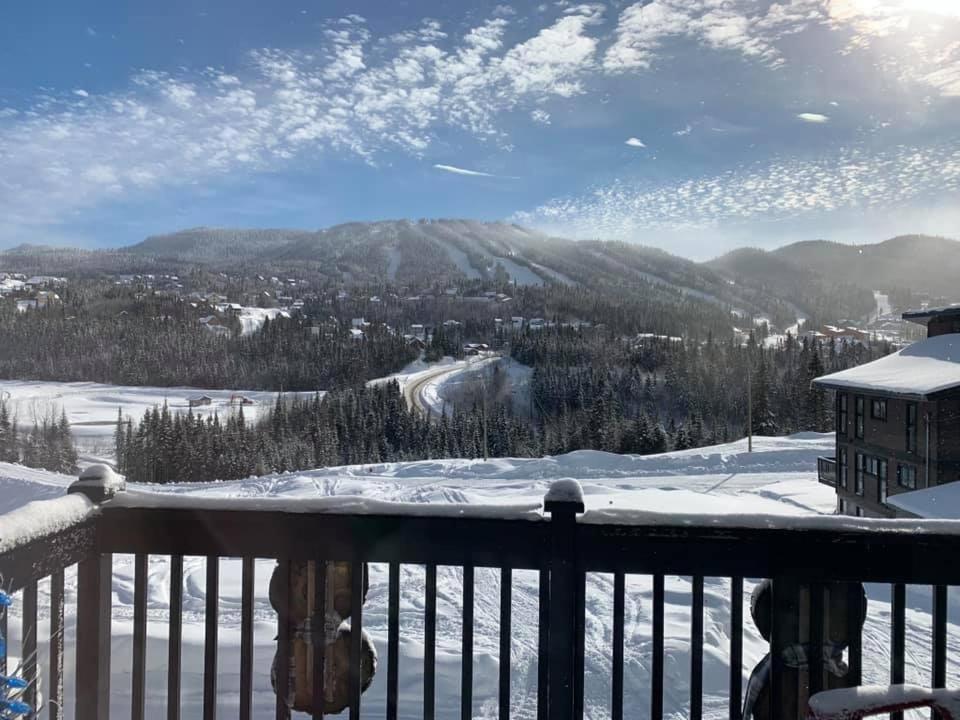 Saint-David-de-Falardeau Le Chalet Du Valiヴィラ エクステリア 写真