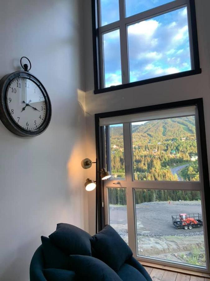Saint-David-de-Falardeau Le Chalet Du Valiヴィラ エクステリア 写真