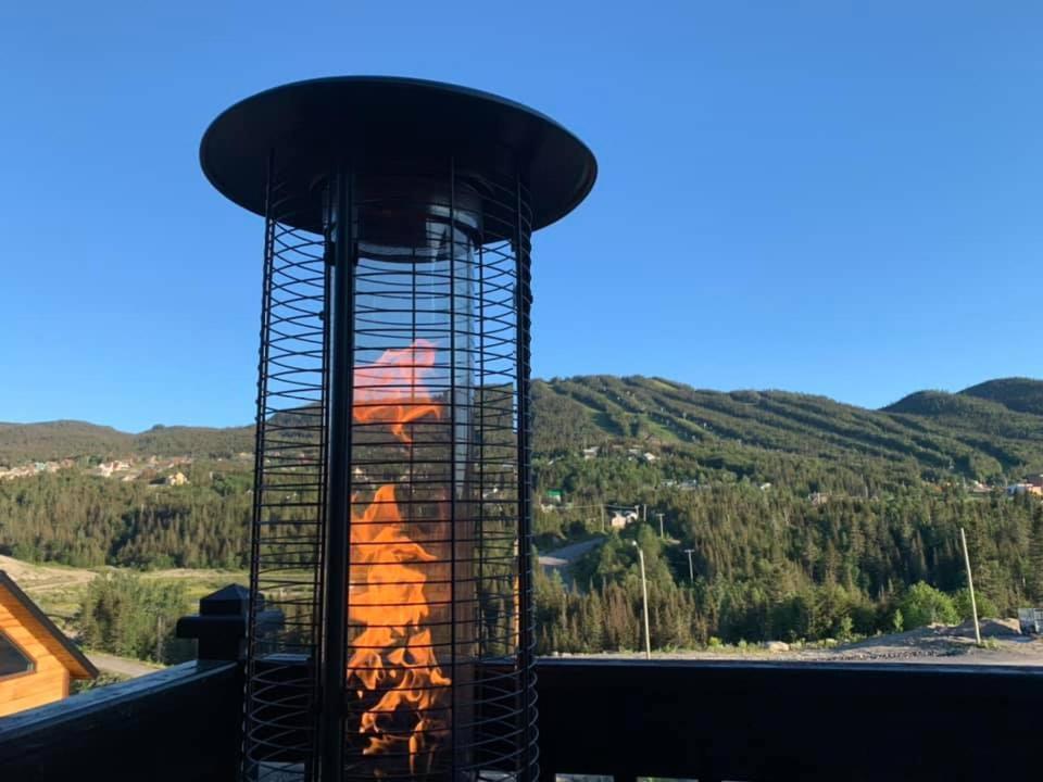 Saint-David-de-Falardeau Le Chalet Du Valiヴィラ エクステリア 写真