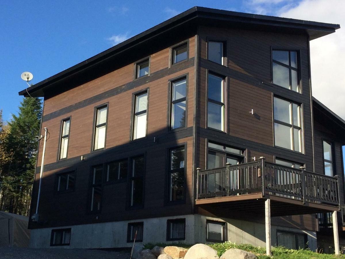 Saint-David-de-Falardeau Le Chalet Du Valiヴィラ エクステリア 写真
