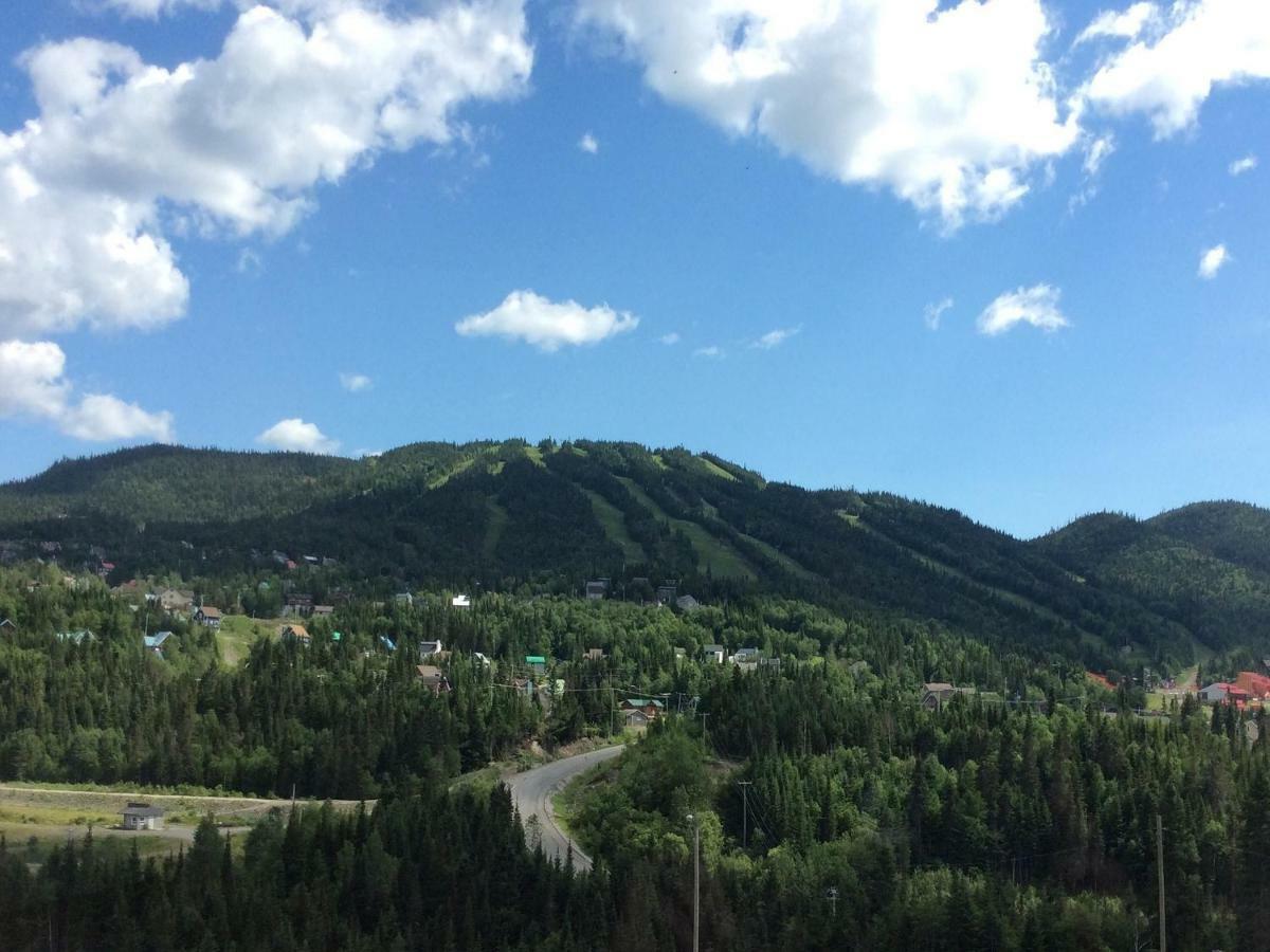 Saint-David-de-Falardeau Le Chalet Du Valiヴィラ エクステリア 写真